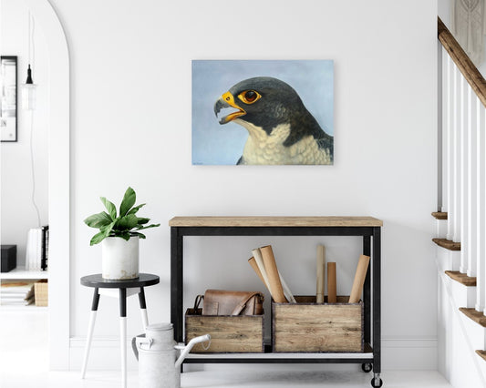 Falconry - The Sport of Kings | Peregrine Falcon Canvas Print